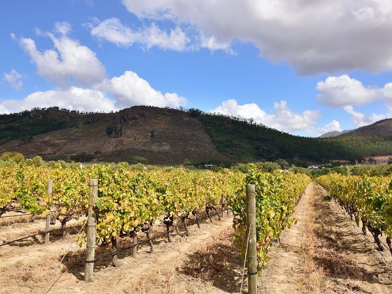 Franschhoek, a popular Cape Comfort destination