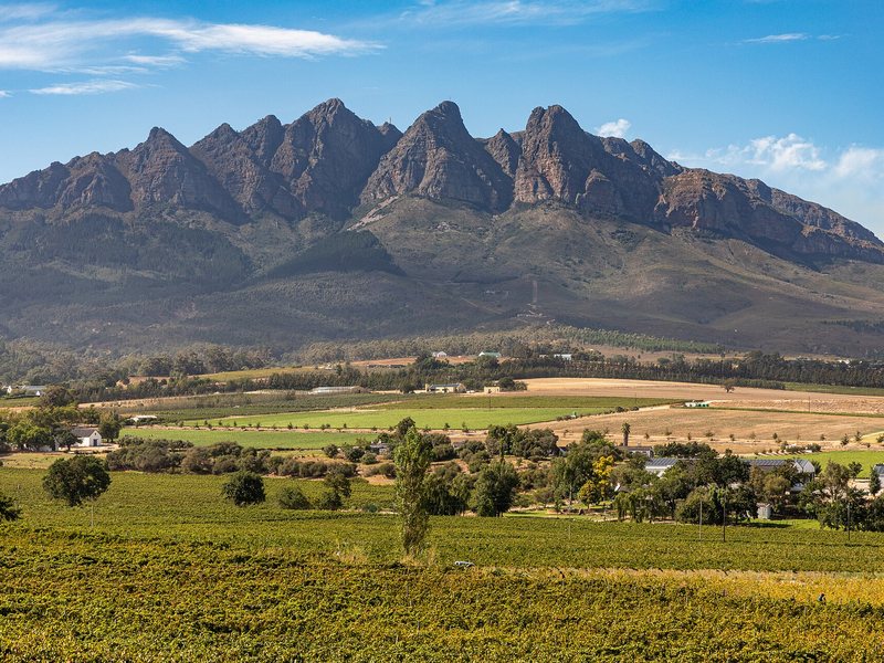 Cape Winelands, a popular Cape Comfort destination